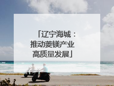辽宁海城：推动菱镁产业高质量发展