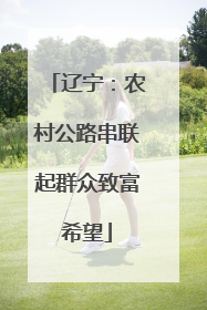 辽宁：农村公路串联起群众致富希望