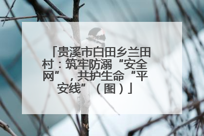 贵溪市白田乡兰田村：筑牢防溺“安全网”，共护生命“平安线”（图）
