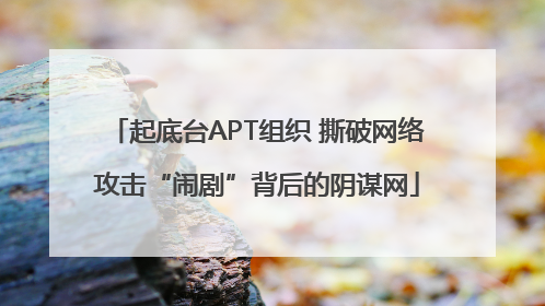 起底台APT组织 撕破网络攻击“闹剧”背后的阴谋网