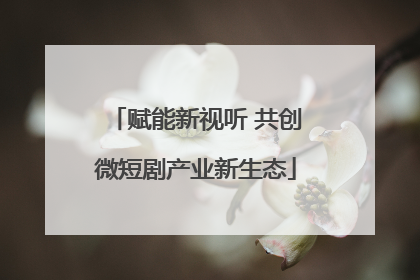 赋能新视听 共创微短剧产业新生态