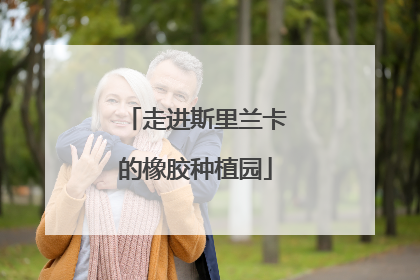 走进斯里兰卡的橡胶种植园