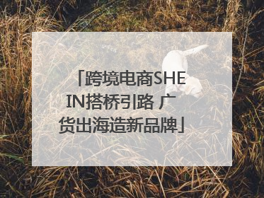 跨境电商SHEIN搭桥引路 广货出海造新品牌