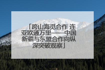 跨山海觅合作 连亚欧通万里——中国新疆与东盟合作向纵深突破观察