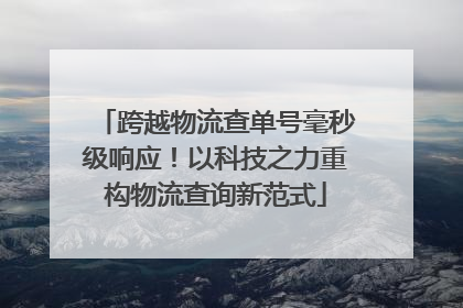 跨越物流查单号毫秒级响应！以科技之力重构物流查询新范式