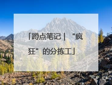 蹲点笔记｜“疯狂”的分拣工