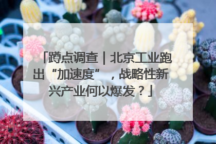 蹲点调查｜北京工业跑出“加速度”，战略性新兴产业何以爆发？