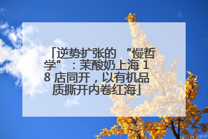 逆势扩张的 “慢哲学”：茉酸奶上海 18 店同开，以有机品质撕开内卷红海