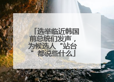 选举临近韩国前总统们发声，为候选人“站台”都说些什么