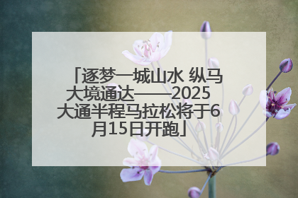 逐梦一城山水 纵马大境通达——2025大通半程马拉松将于6月15日开跑