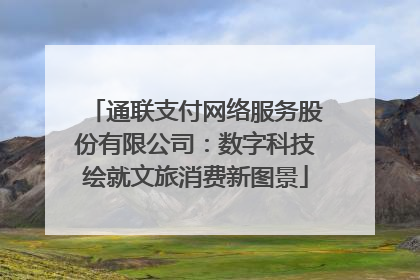 通联支付网络服务股份有限公司：数字科技绘就文旅消费新图景
