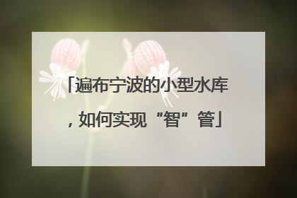 遍布宁波的小型水库，如何实现“智”管