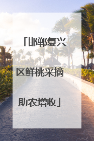 邯郸复兴区鲜桃采摘助农增收