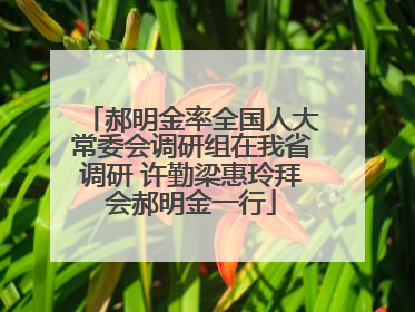 郝明金率全国人大常委会调研组在我省调研 许勤梁惠玲拜会郝明金一行