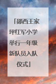 郧西王家坪红军小学举行一年级新队员入队仪式