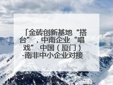 金砖创新基地“搭台”，中南企业“唱戏” 中国（厦门）-南非中小企业对接会在厦举办