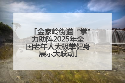 金家岭街道“拳”力助阵2025年全国老年人太极拳健身展示大联动