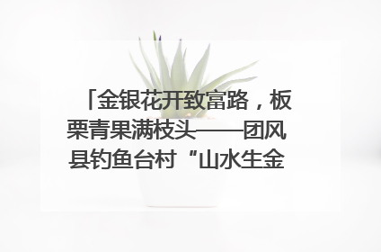 金银花开致富路，板栗青果满枝头——团风县钓鱼台村“山水生金”谱写共富新篇章