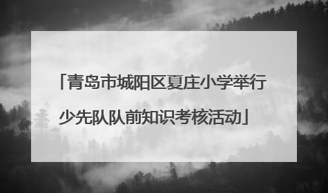 青岛市城阳区夏庄小学举行少先队队前知识考核活动