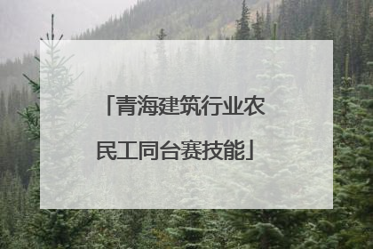 青海建筑行业农民工同台赛技能