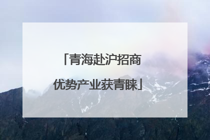 青海赴沪招商 优势产业获青睐