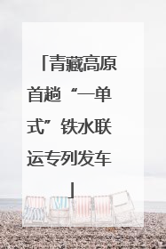 青藏高原首趟“一单式”铁水联运专列发车