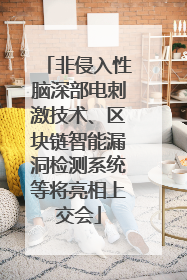 非侵入性脑深部电刺激技术、区块链智能漏洞检测系统等将亮相上交会