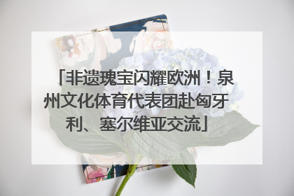 非遗瑰宝闪耀欧洲！泉州文化体育代表团赴匈牙利、塞尔维亚交流