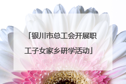 银川市总工会开展职工子女家乡研学活动