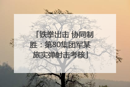 铁拳出击 协同制胜：第80集团军某旅实弹射击考核
