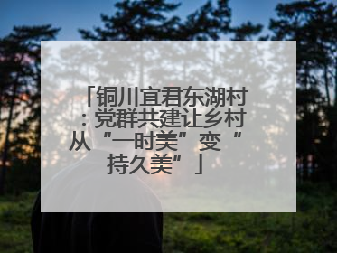 铜川宜君东湖村：党群共建让乡村从“一时美”变“持久美”
