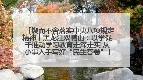 锲而不舍落实中央八项规定精神丨黑龙江双鸭山：以学促干推动学习教育走深走实 从小事入手写好“民生答卷”