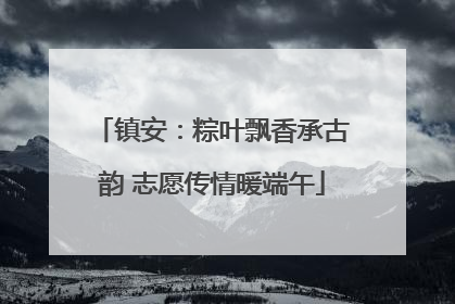 镇安：粽叶飘香承古韵 志愿传情暖端午