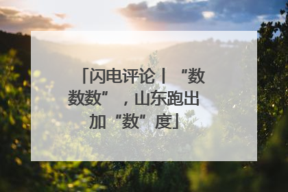 闪电评论丨“数数数”，山东跑出加“数”度