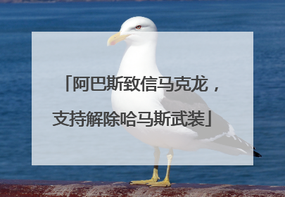 阿巴斯致信马克龙，支持解除哈马斯武装
