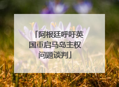 阿根廷呼吁英国重启马岛主权问题谈判
