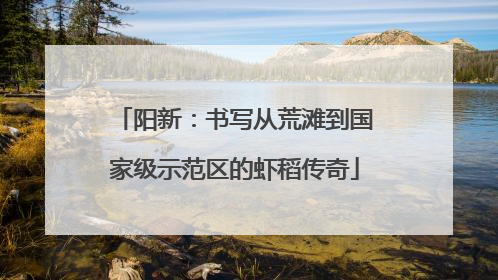 阳新：书写从荒滩到国家级示范区的虾稻传奇