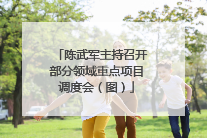 陈武军主持召开部分领域重点项目调度会（图）
