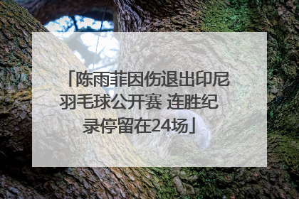 陈雨菲因伤退出印尼羽毛球公开赛 连胜纪录停留在24场