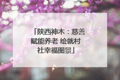 陕西神木：慈善赋能养老 绘就村社幸福图景