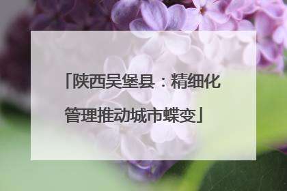 陕西吴堡县：精细化管理推动城市蝶变