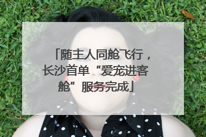 随主人同舱飞行，长沙首单“爱宠进客舱”服务完成