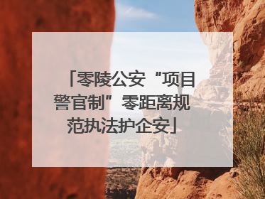 零陵公安“项目警官制”零距离规范执法护企安