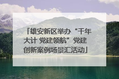 雄安新区举办“千年大计 党建领航”党建创新案例场景汇活动
