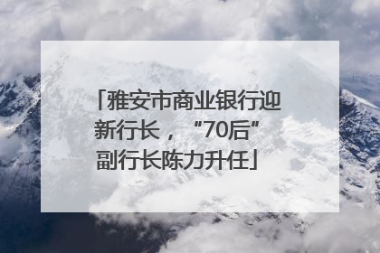 雅安市商业银行迎新行长，“70后”副行长陈力升任