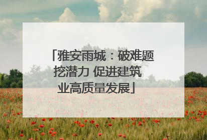 雅安雨城：破难题 挖潜力 促进建筑业高质量发展
