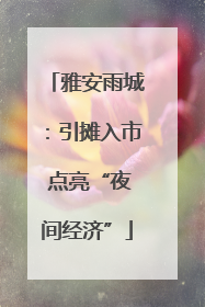 雅安雨城：引摊入市 点亮“夜间经济”