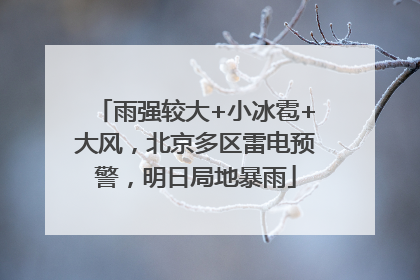 雨强较大+小冰雹+大风，北京多区雷电预警，明日局地暴雨