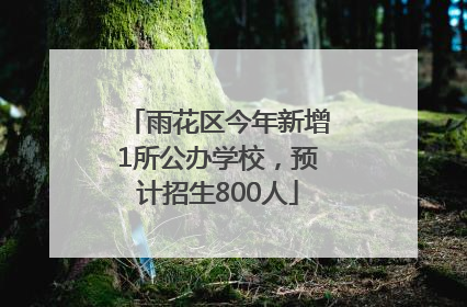 雨花区今年新增1所公办学校，预计招生800人