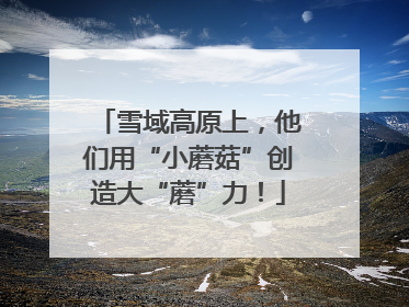 雪域高原上，他们用“小蘑菇”创造大“蘑”力！